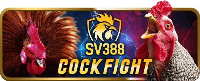 Xác minh tài khoản V6BET Code qua email hoặc SMS